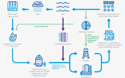 Examples of innovative solutions (good practices)